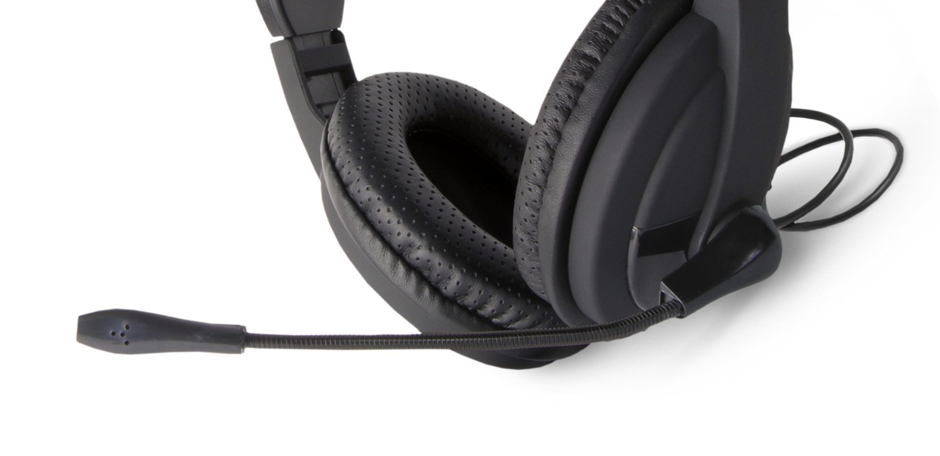 Flexible Mic